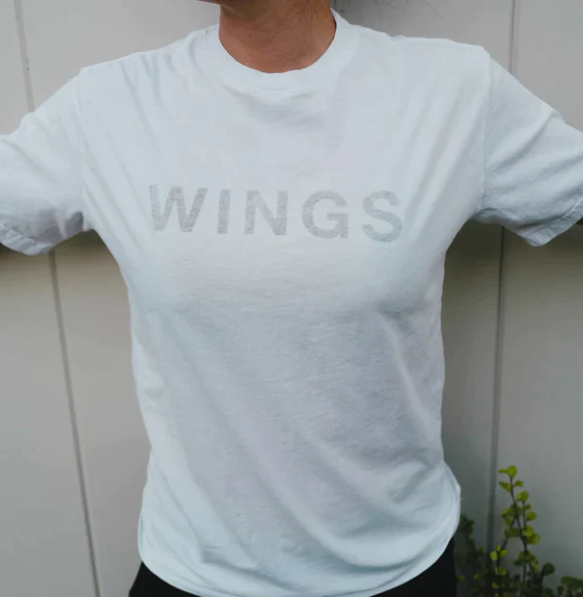 WINGS CAPSULE THE MERCH Jonas Brothers