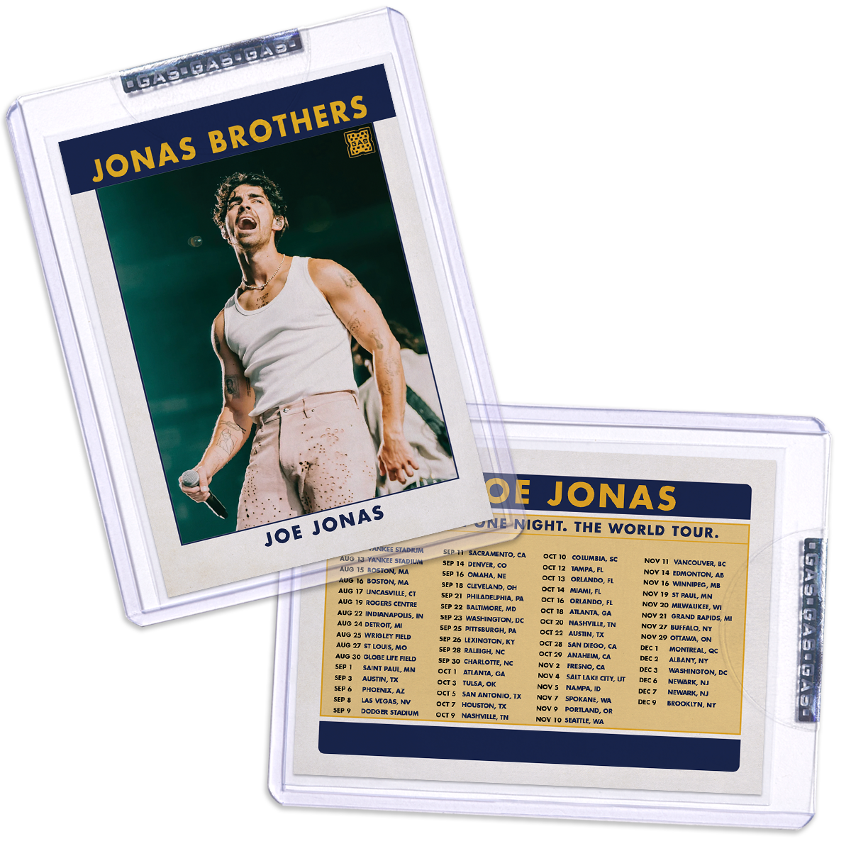Joe Jonas Trading Card # 5