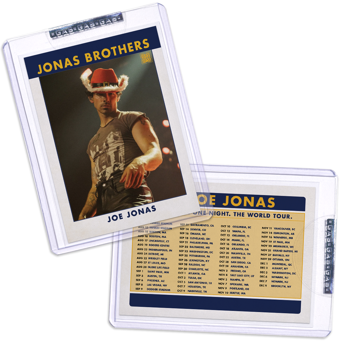 Joe Jonas Trading Card # 8