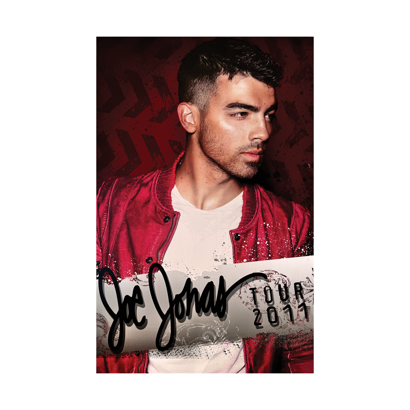 Vintage Joe Jonas 2011 Tour Poster